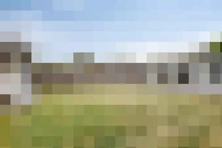 Duinakker 10 Ouddorp thumbnail 27