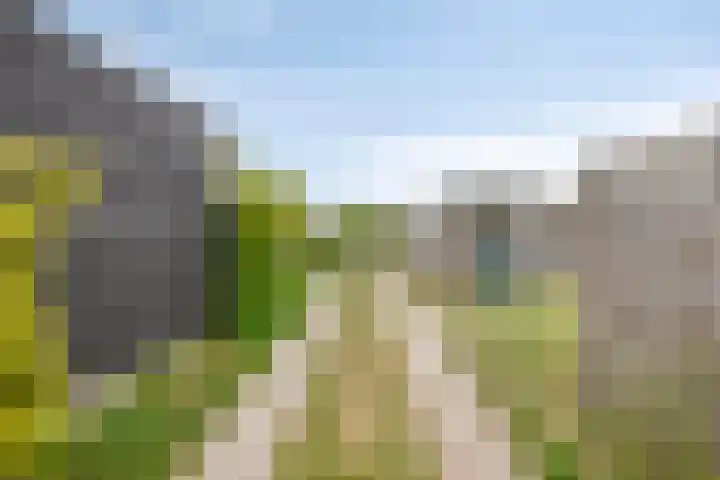 Duinakker 10 Ouddorp thumbnail 28