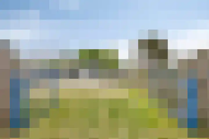 Duinakker 10 Ouddorp thumbnail 30