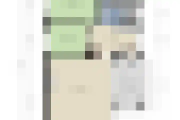 Duinakker 10 Ouddorp thumbnail 32