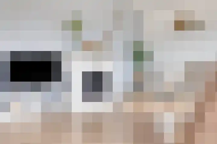 Duinakker 10 Ouddorp thumbnail 7