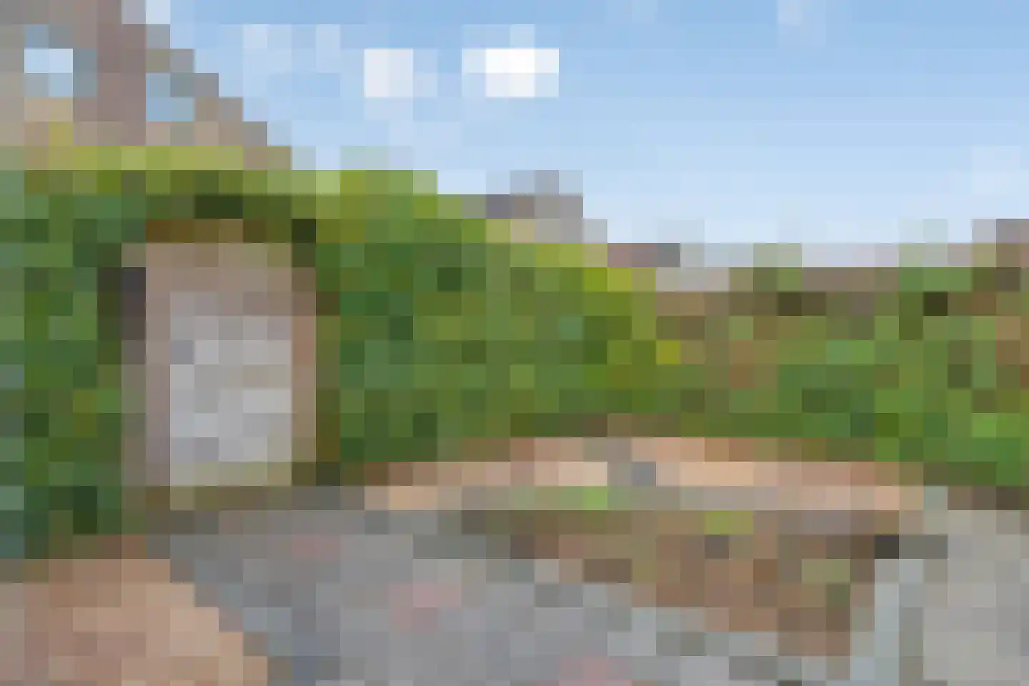 Duinakker 10 Roden thumbnail 16