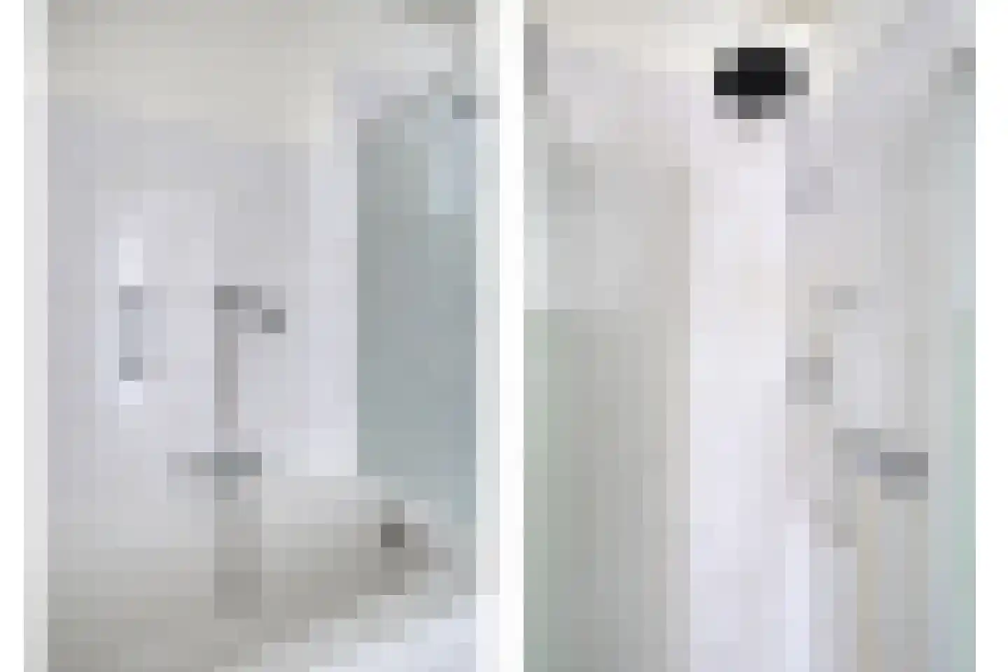 Duinakker 10 Roden thumbnail 22