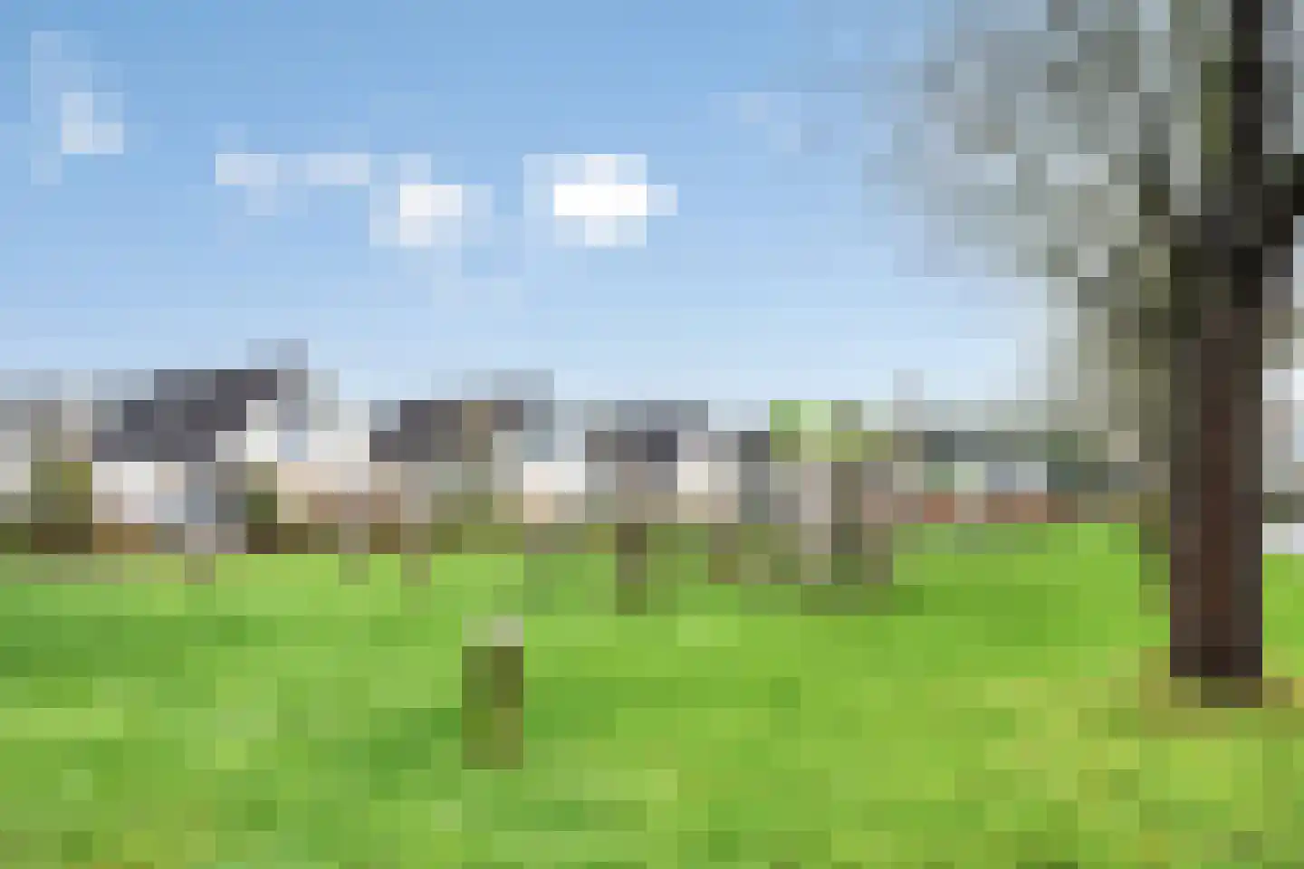 Duinakker 10 Roden thumbnail 30