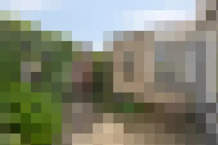 Duinakker 16 Roden thumbnail 17