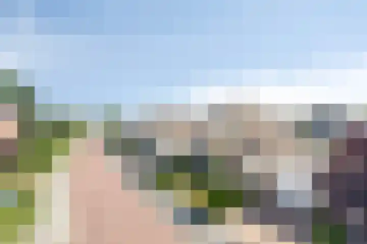 Duinakker 16 Roden thumbnail 26