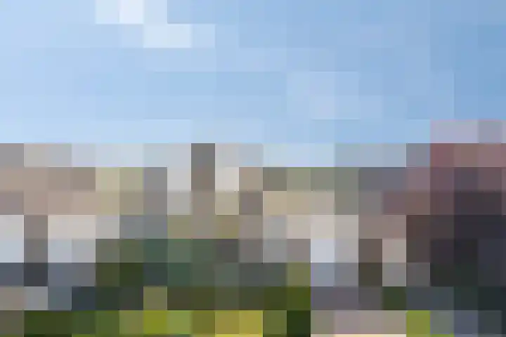 Duinakker 16 Roden thumbnail 27