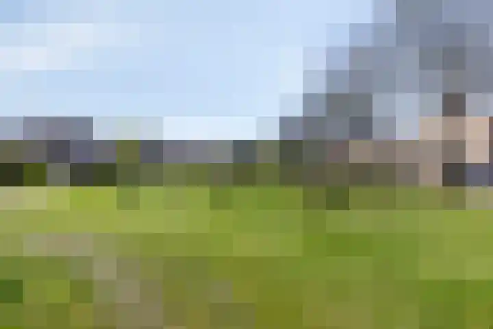Duinakker 16 Roden thumbnail 29