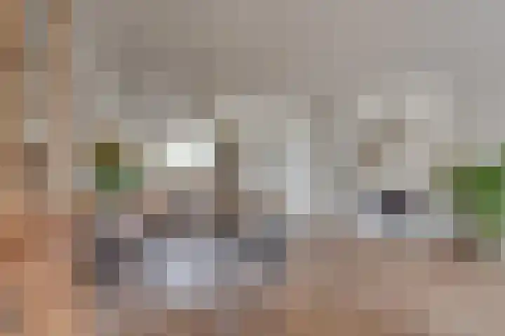 Duinakker 16 Roden thumbnail 4