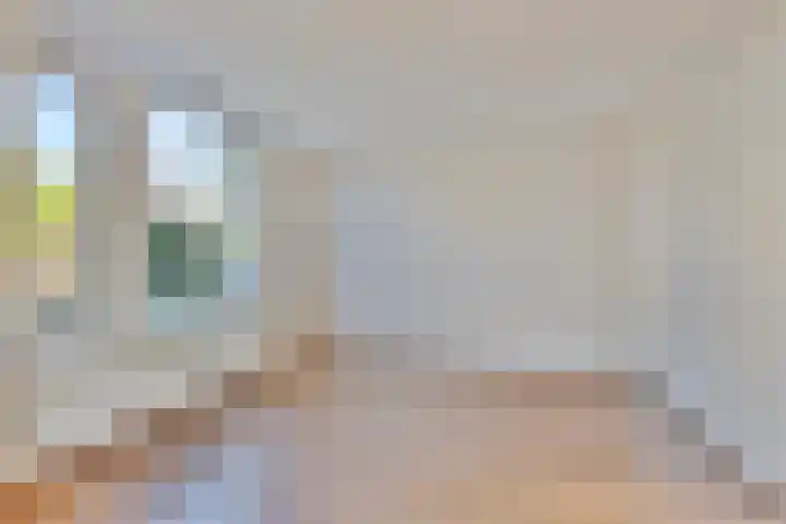 Duinakker 16 Roden thumbnail 5