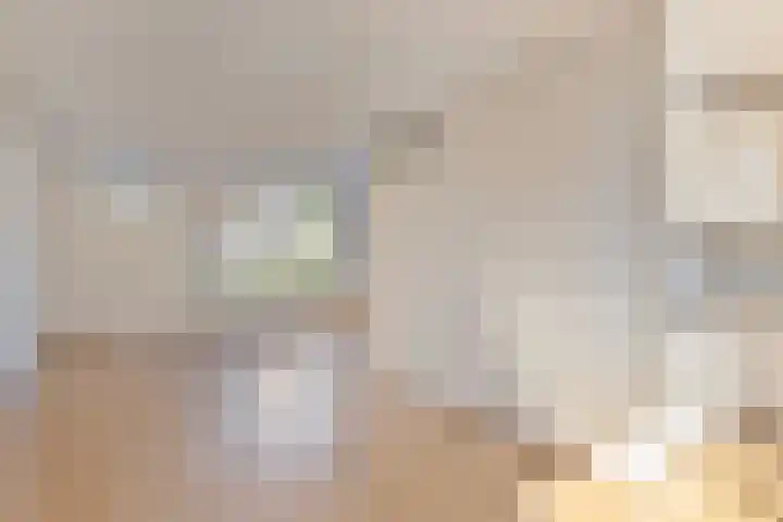 Duinakker 16 Roden thumbnail 7