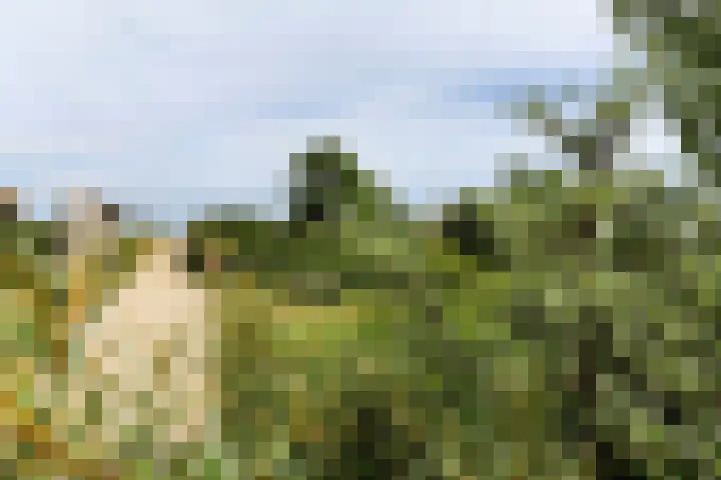 Duinakker 2 A Ouddorp thumbnail 11