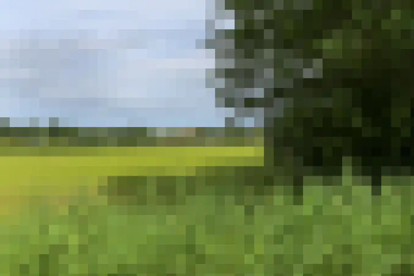Duinakker 2 A Ouddorp thumbnail 12