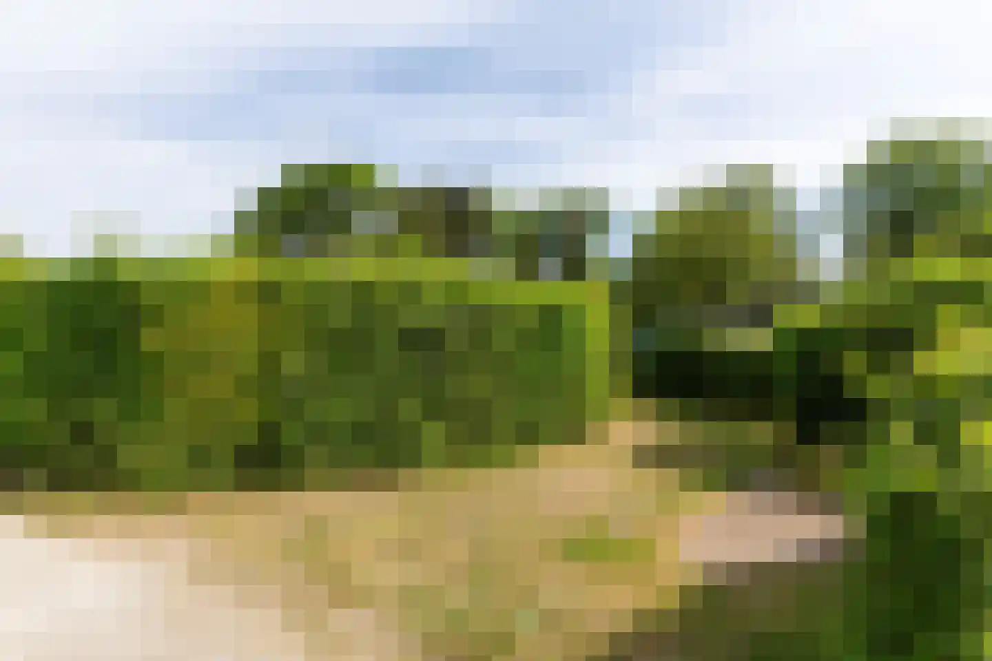 Duinakker 2 A Ouddorp thumbnail 7