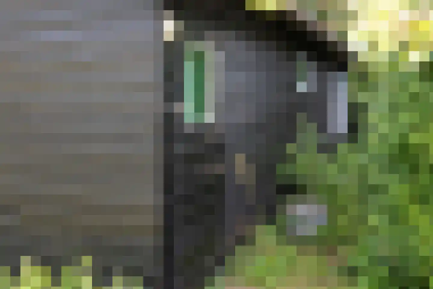 Duinakker 2 Ouddorp thumbnail 10