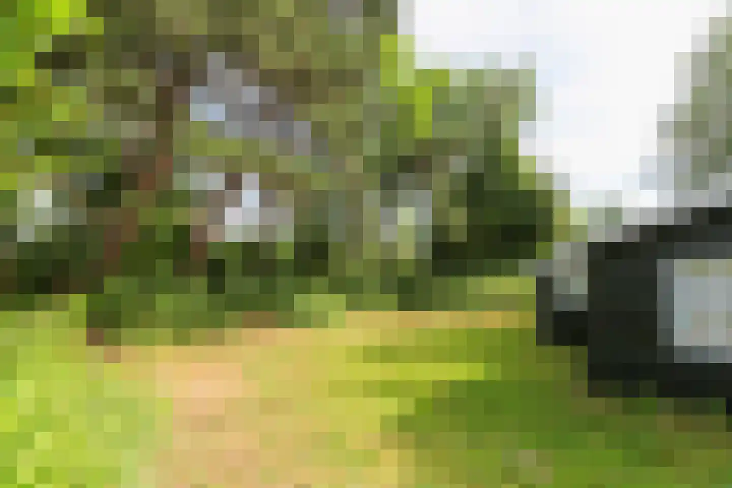Duinakker 2 Ouddorp thumbnail 13