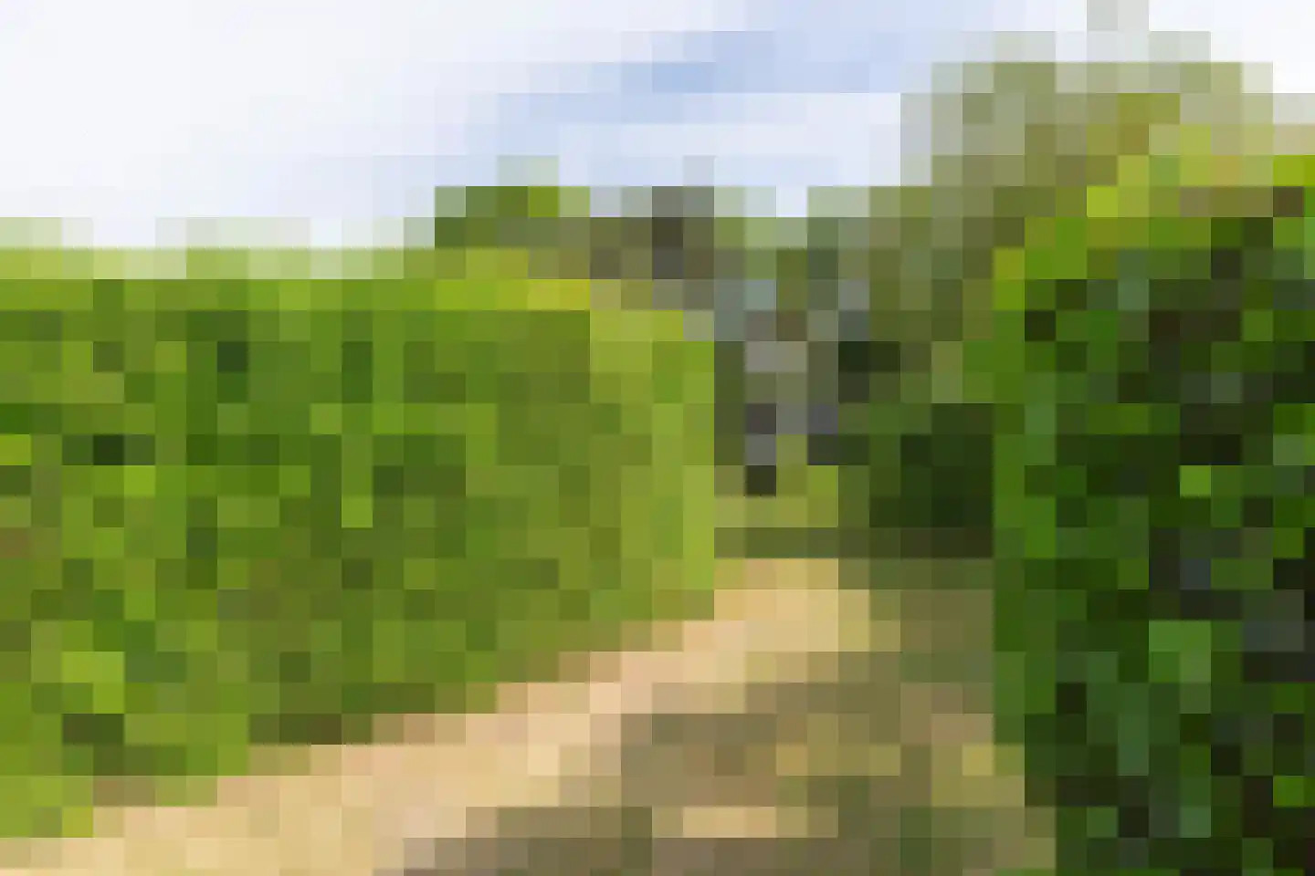 Duinakker 2 Ouddorp thumbnail 14