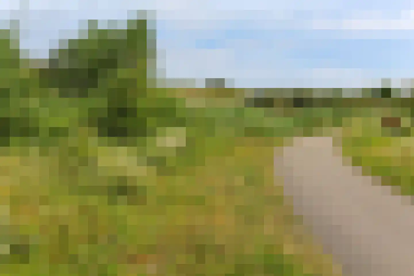 Duinakker 2 Ouddorp thumbnail 17