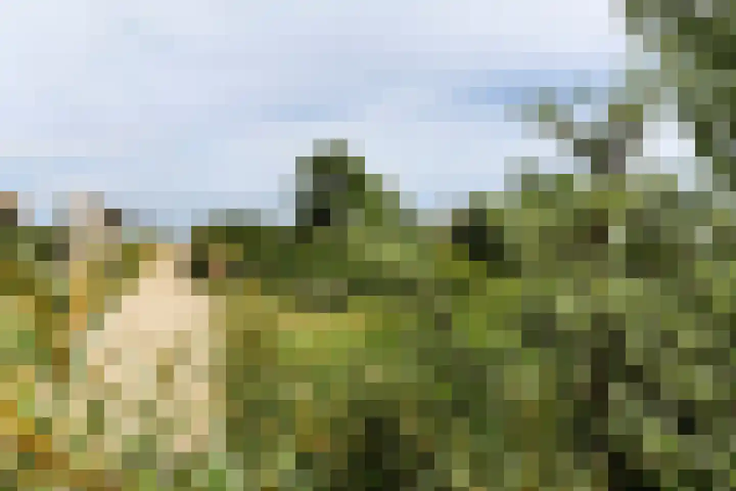 Duinakker 2 Ouddorp thumbnail 19
