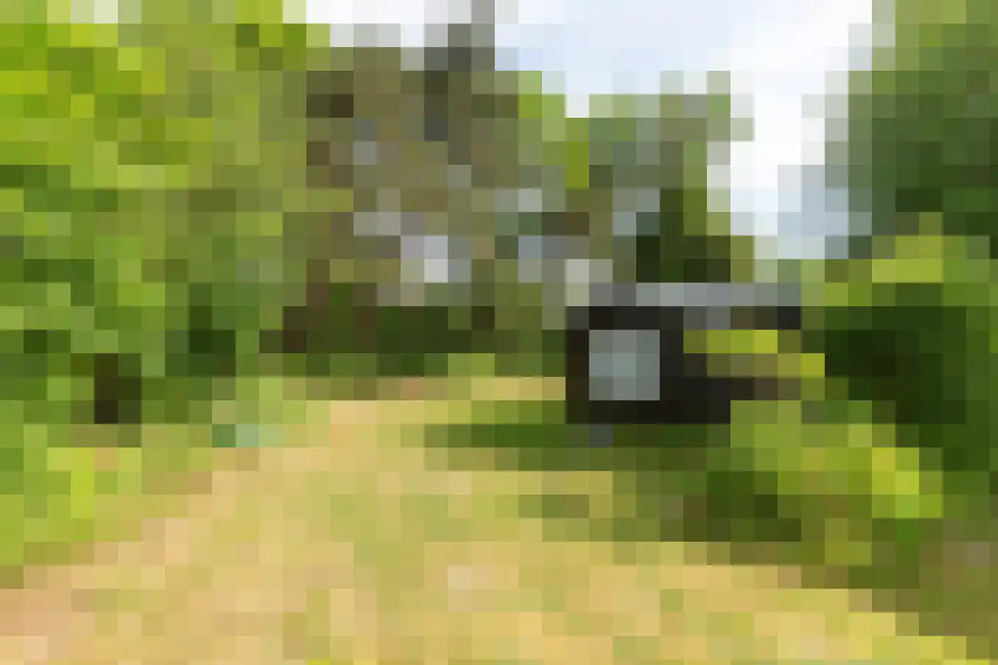 Duinakker 2 Ouddorp thumbnail 4