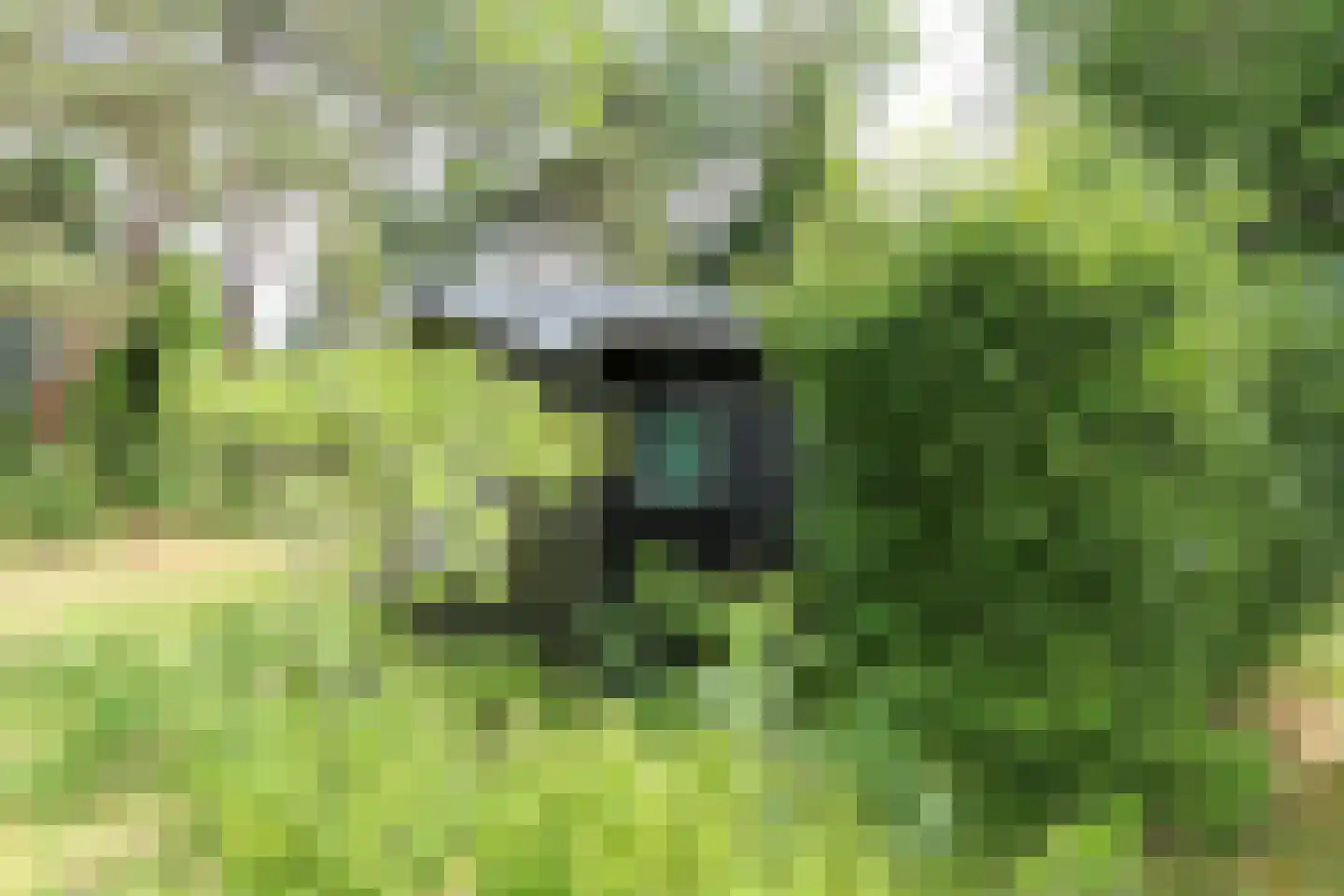 Duinakker 2 Ouddorp thumbnail 9