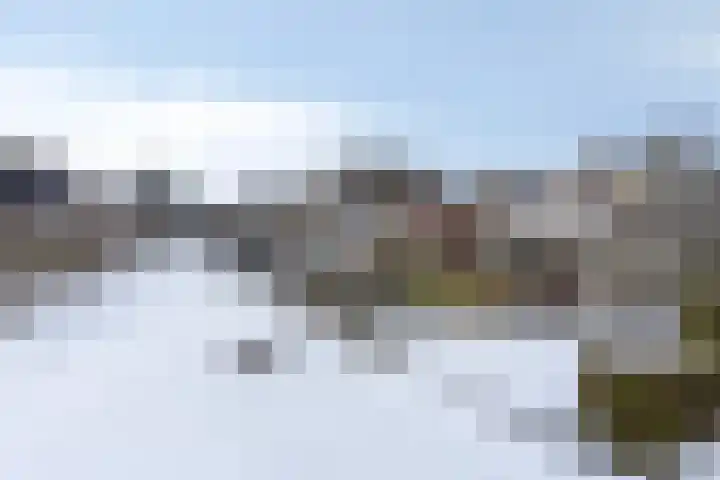 Duinakker 24 Roden thumbnail 14