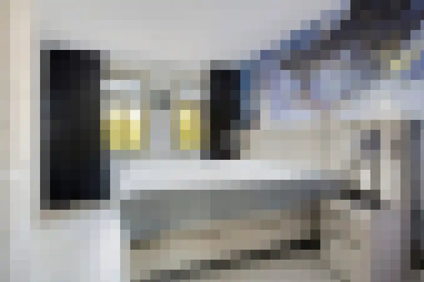 Duinakker 4 Castricum thumbnail 16
