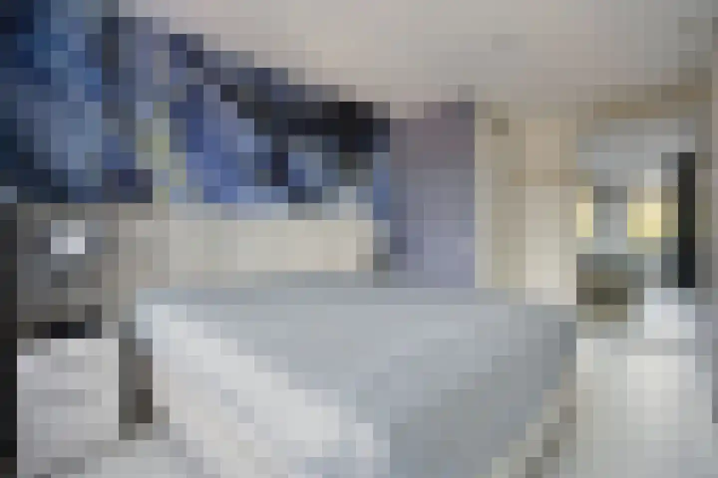 Duinakker 4 Castricum thumbnail 17