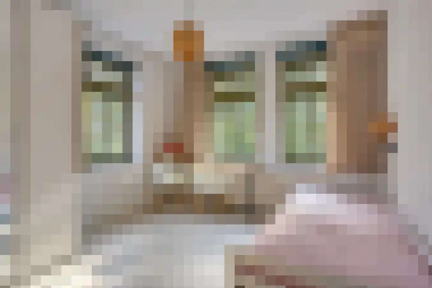 Duinakker 4 Castricum thumbnail 21