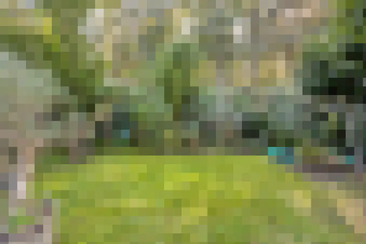Duinakker 4 Castricum thumbnail 29
