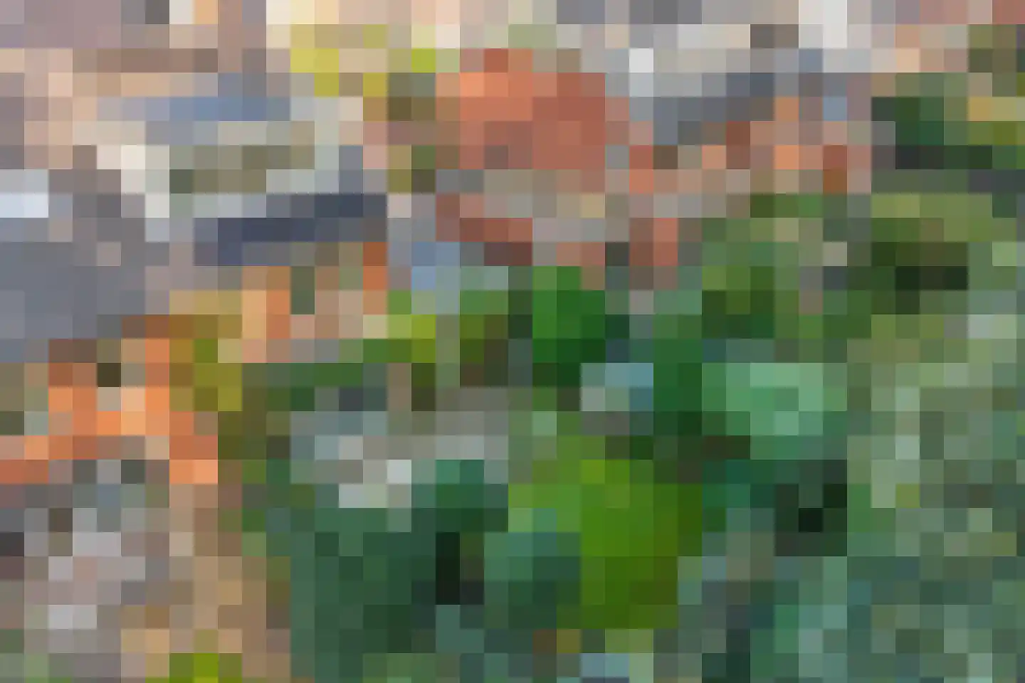 Duinakker 4 Castricum thumbnail 32