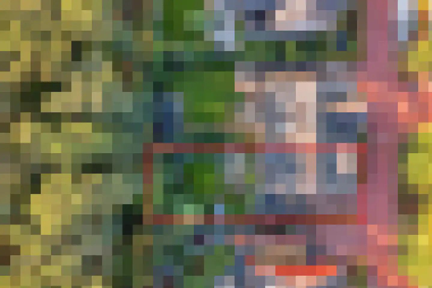 Duinakker 4 Castricum thumbnail 33