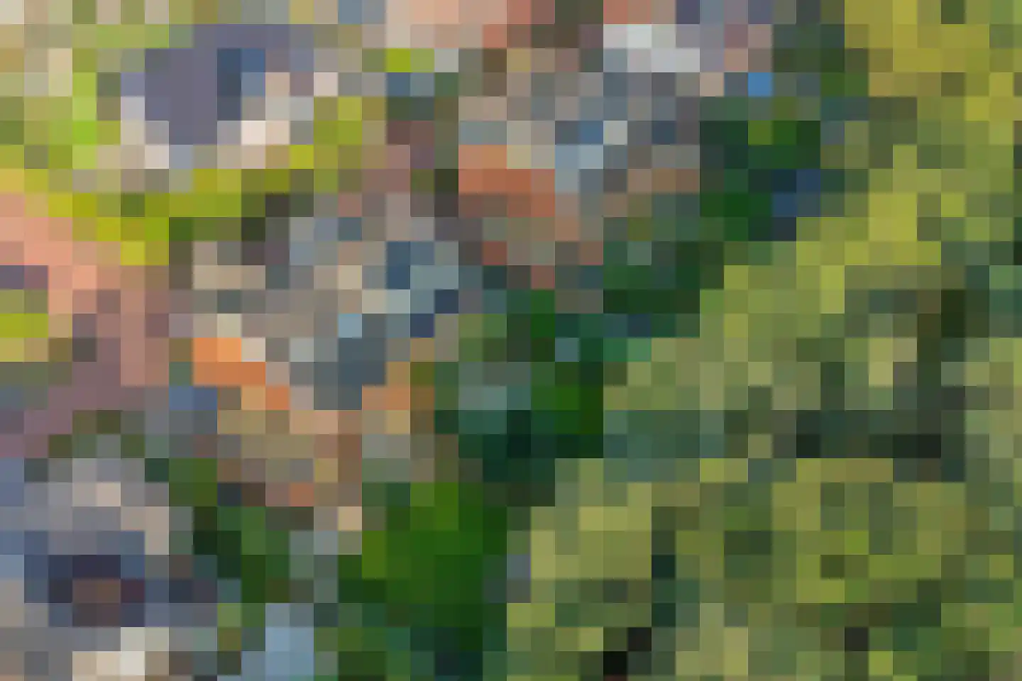 Duinakker 4 Castricum thumbnail 34