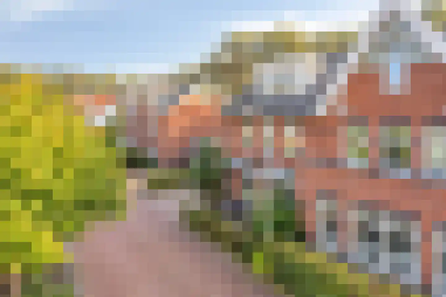 Duinakker 4 Castricum thumbnail 35