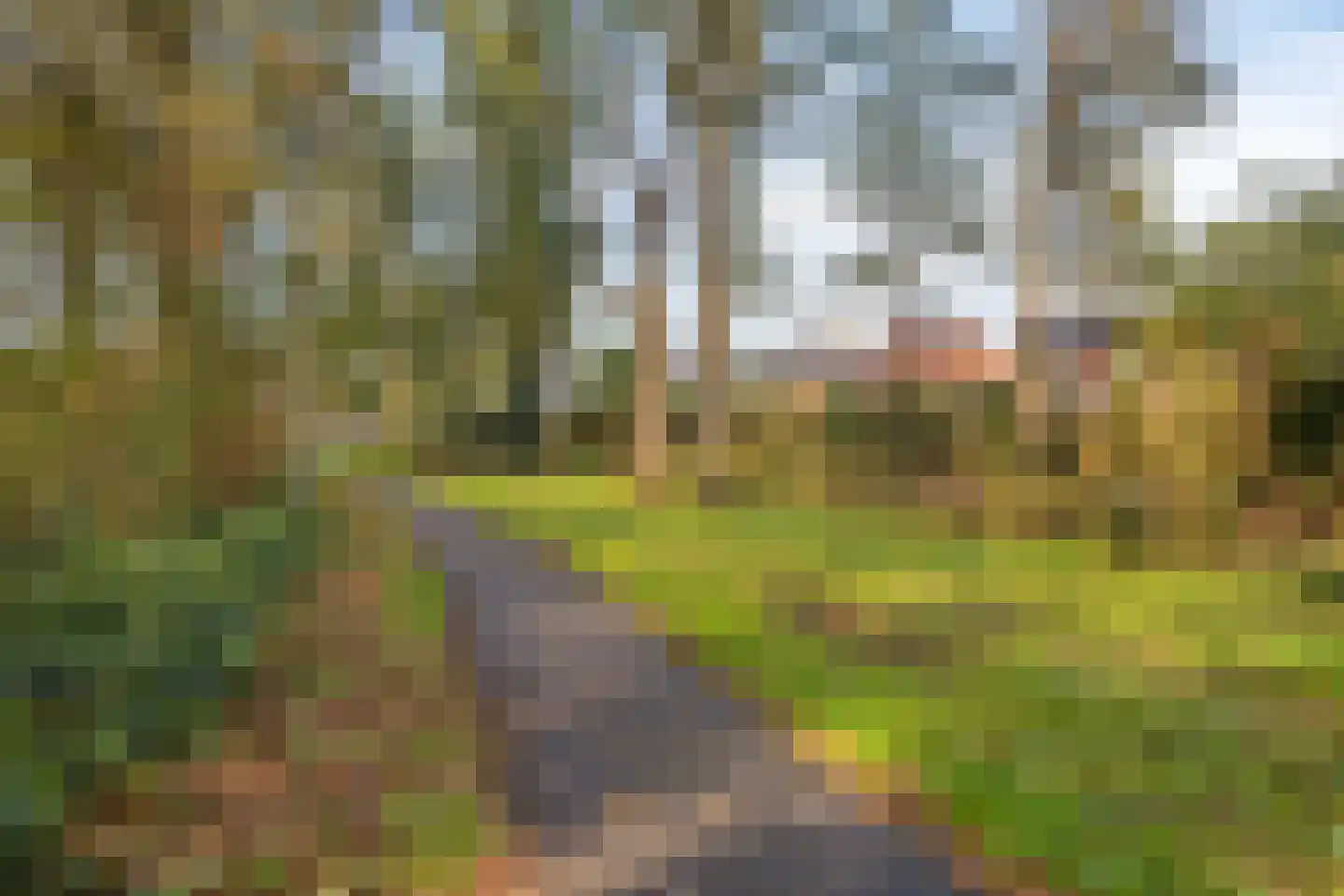 Duinakker 4 Castricum thumbnail 36