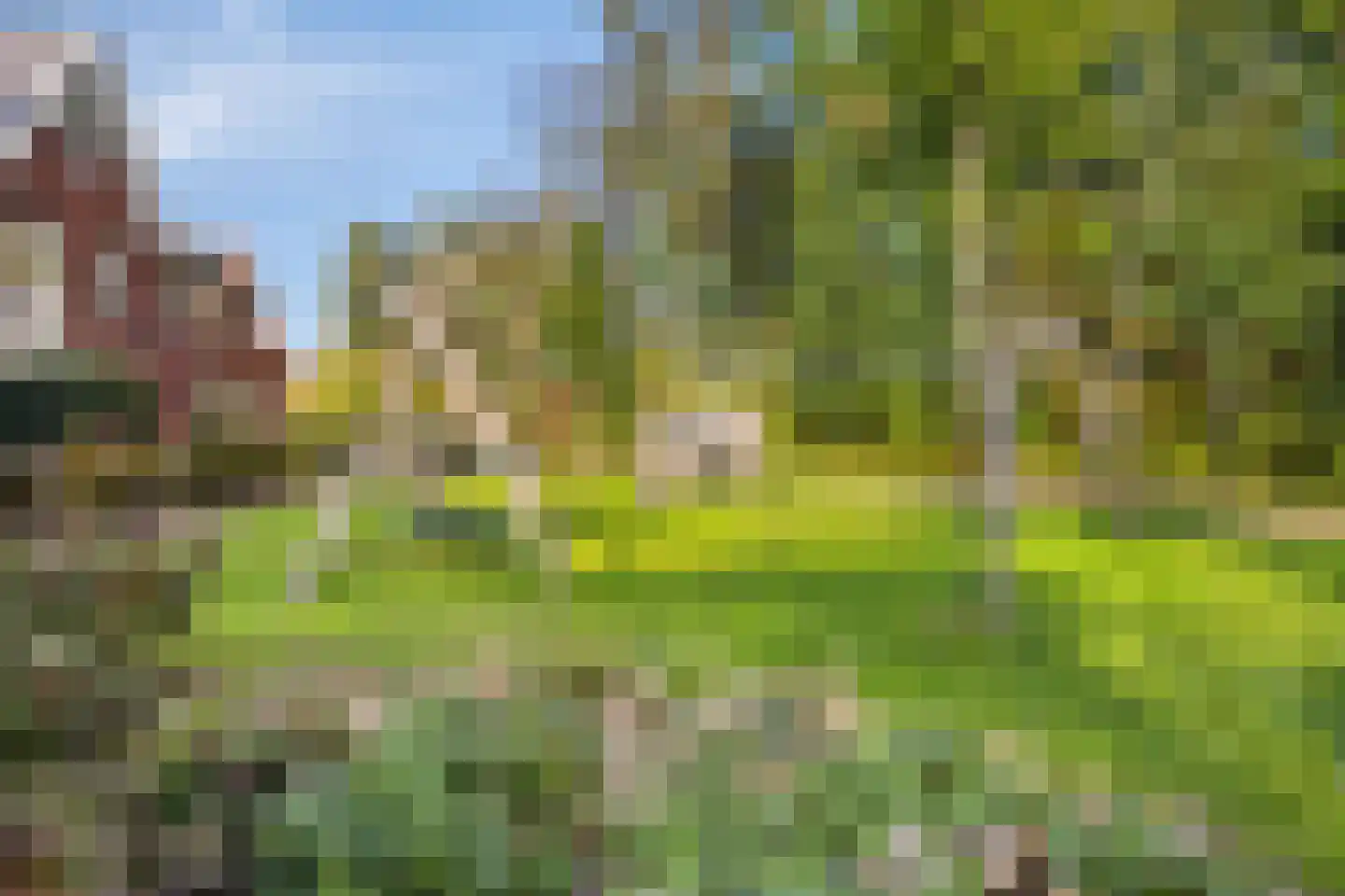Duinakker 4 Castricum thumbnail 37