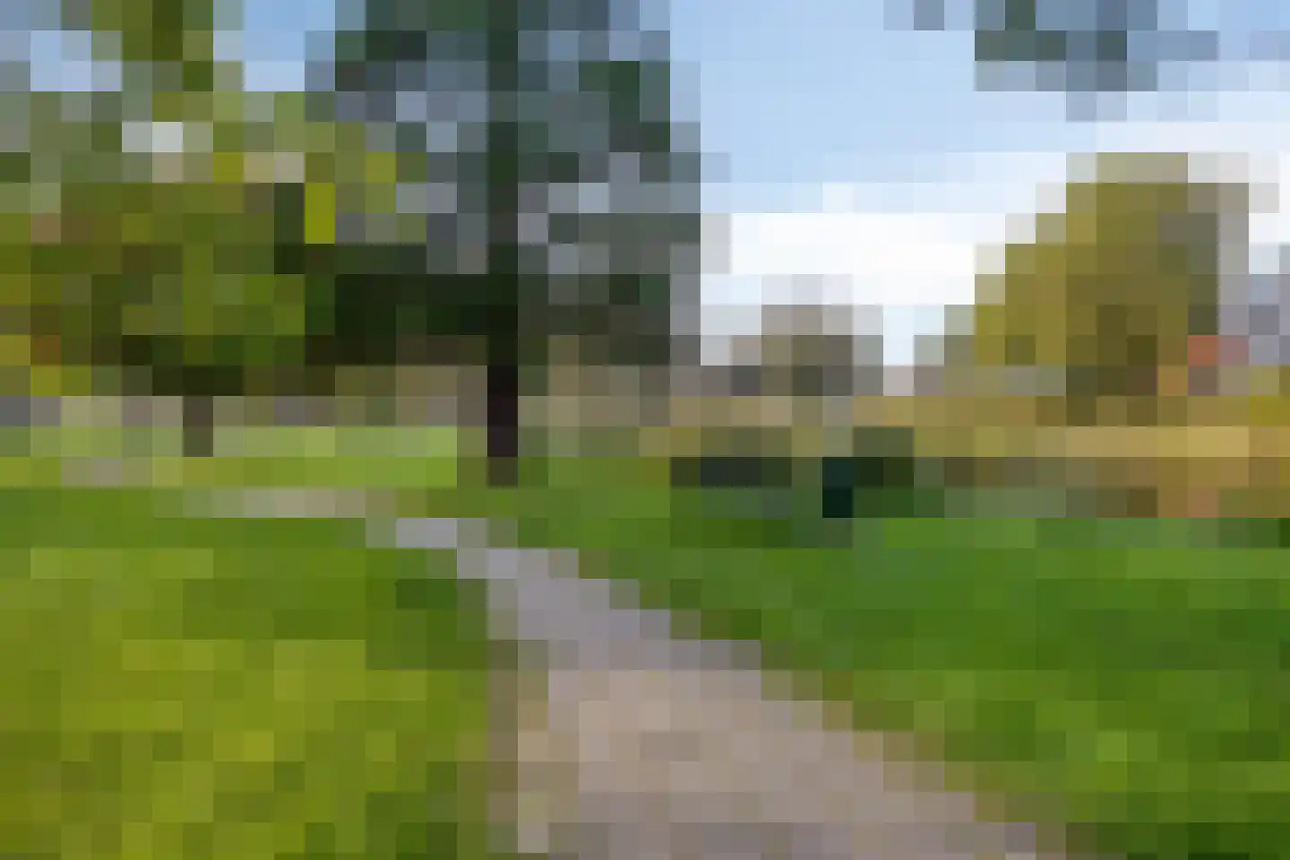 Duinakker 4 Castricum thumbnail 38