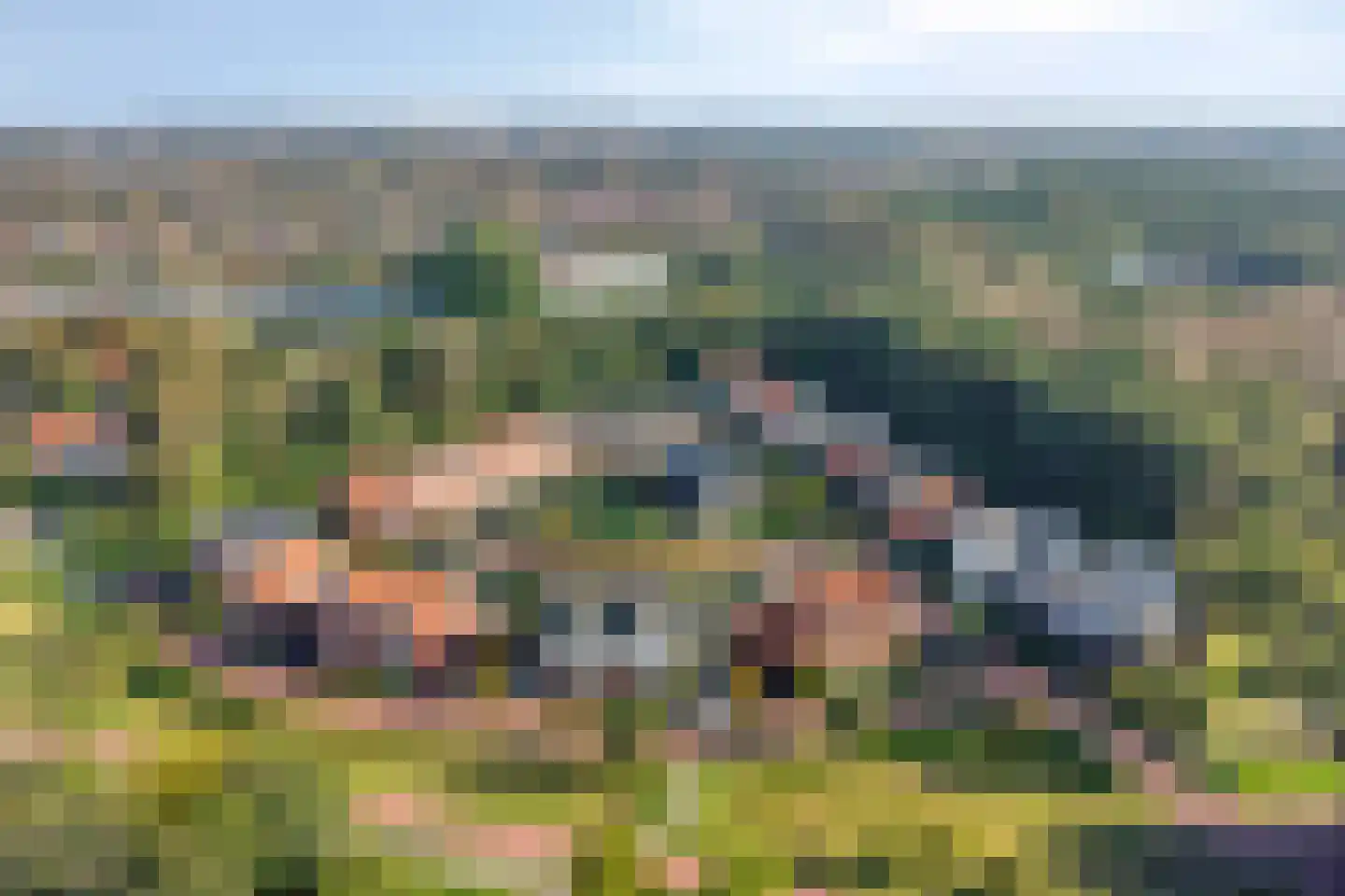 Duinakker 4 Castricum thumbnail 39