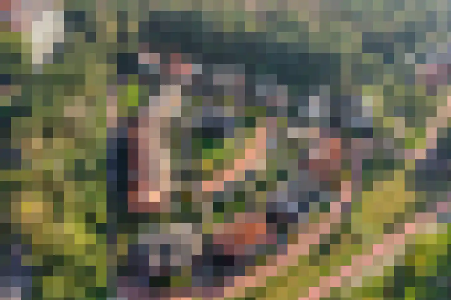 Duinakker 4 Castricum thumbnail 40