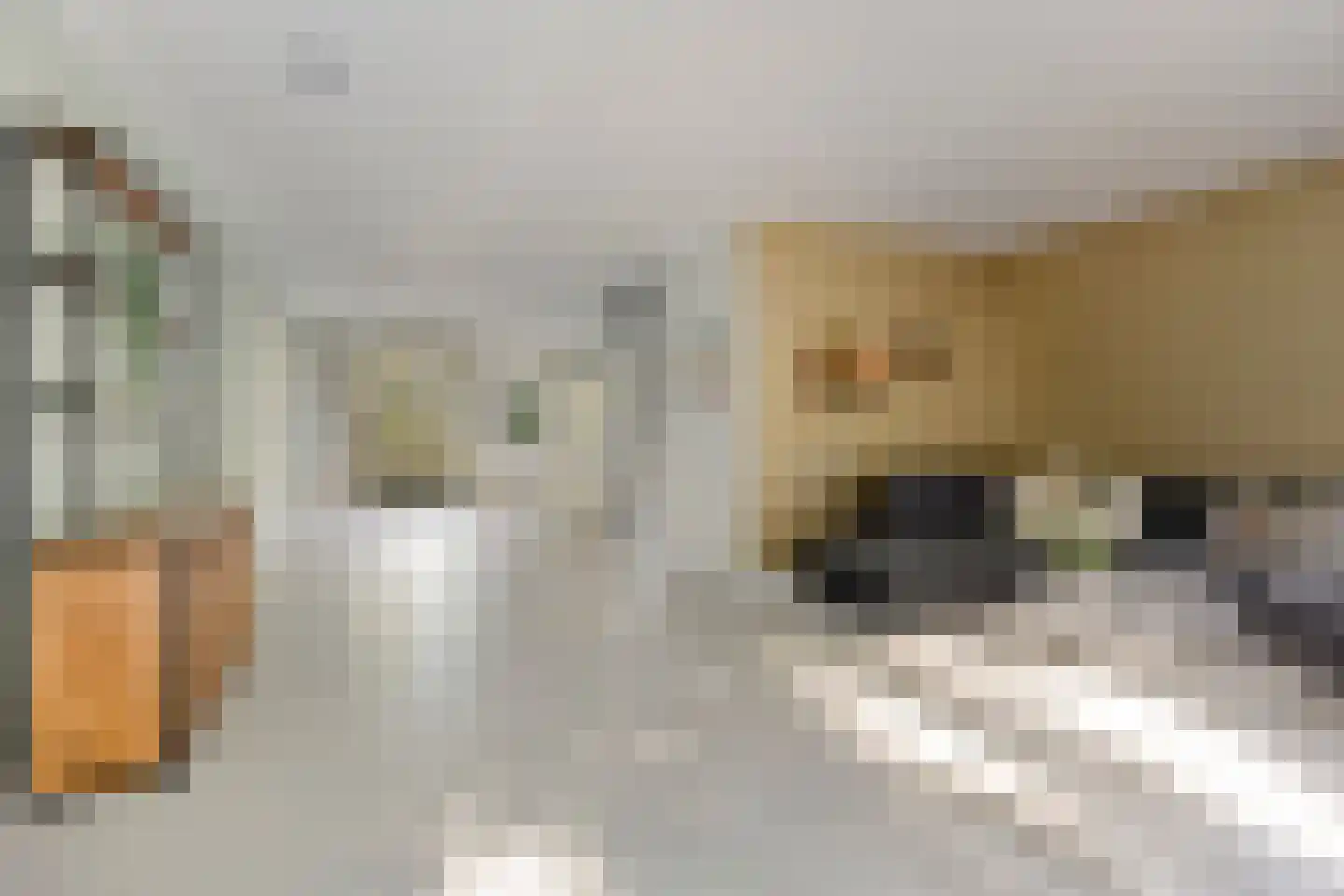 Duinakker 4 Castricum thumbnail 7