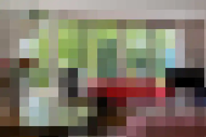 Duinakker 43 Roden thumbnail 13