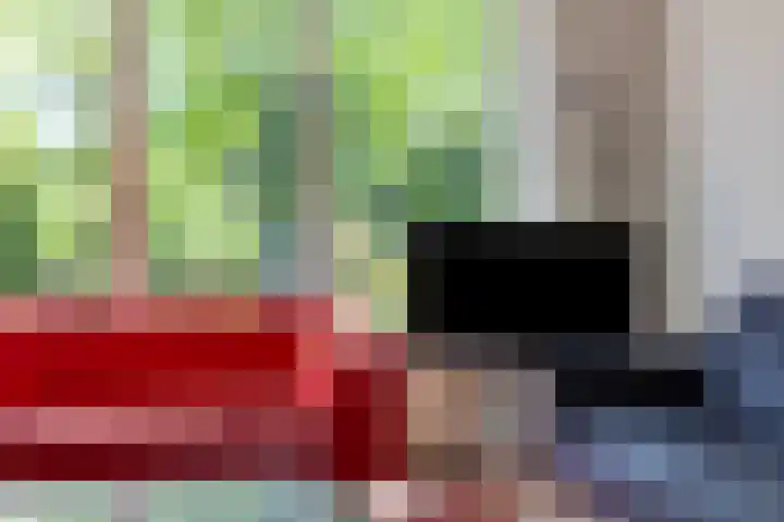 Duinakker 43 Roden thumbnail 14