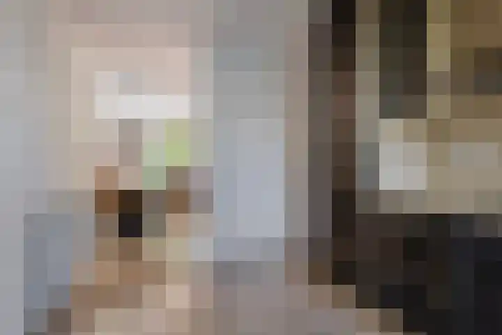 Duinakker 43 Roden thumbnail 21