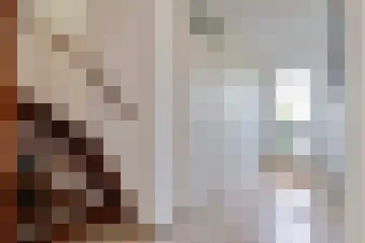 Duinakker 43 Roden thumbnail 27