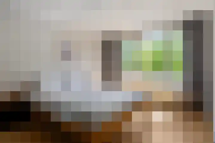 Duinakker 43 Roden thumbnail 29