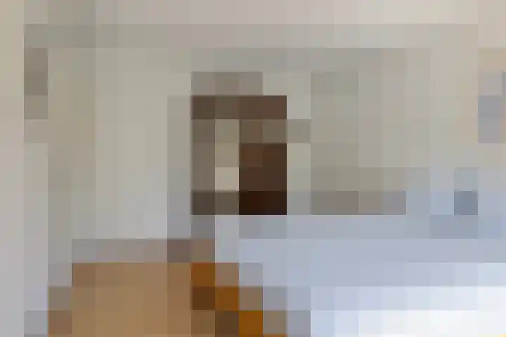 Duinakker 43 Roden thumbnail 30