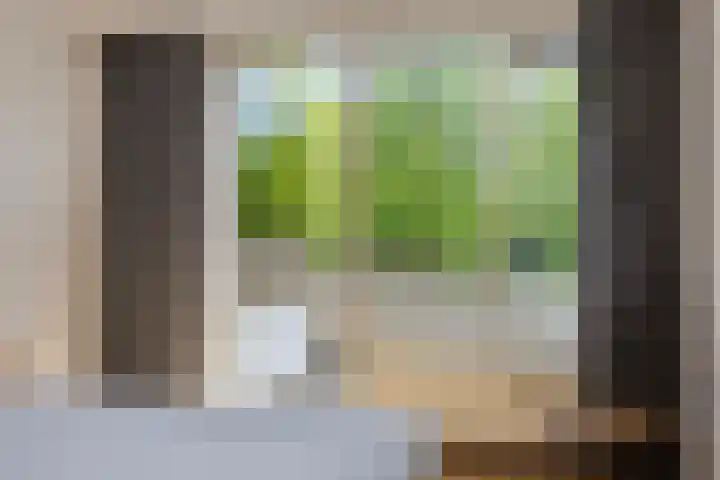 Duinakker 43 Roden thumbnail 31