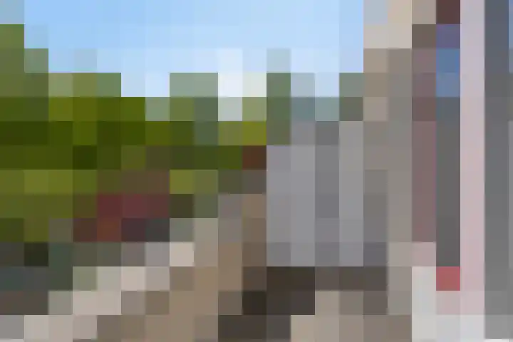 Duinakker 43 Roden thumbnail 32