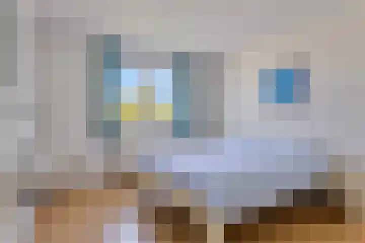 Duinakker 43 Roden thumbnail 33