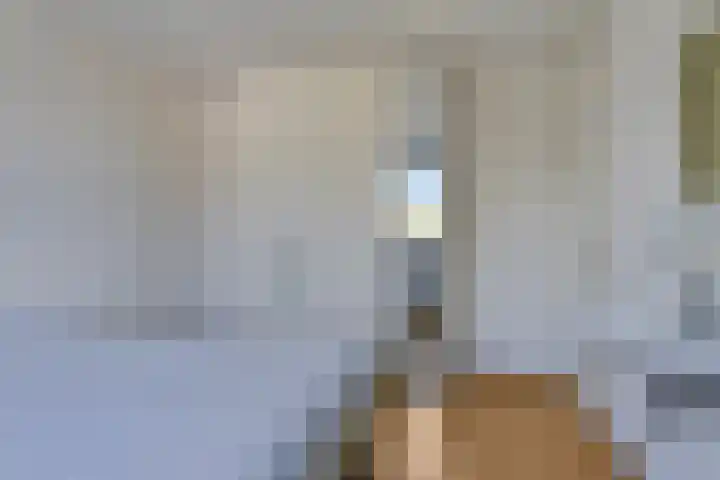 Duinakker 43 Roden thumbnail 34